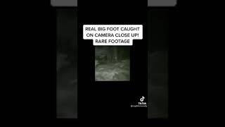 Real Bigfoot caught on camera close up rare footage