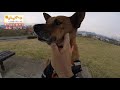 【pr】寒い日の散歩！いいところの犬に見るぞ！