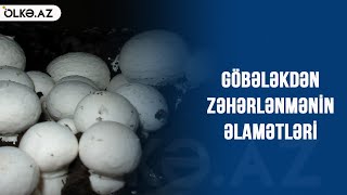 Göbələkdən zəhərlənmənin əlamətləri (DİQQƏTLİ OLUN!)