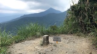 烏來三山-拔刀爾山-高腰山-美鹿山 @20220813