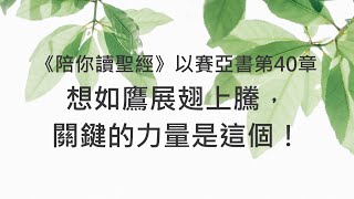 想如鷹展翅上騰，關鍵的力量是這個！《以賽亞書40》｜陪你讀聖經2