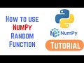 Python NumPy Tutorial For Beginners - numpy.random.rand() | How to use NumPy Random Function