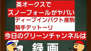 [英オークス]ディープインパクト産駒のスノーフォールがヤバい