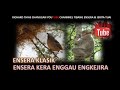 ensera klasik kera enggau engkejira