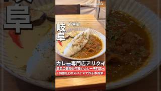 アリクイをモチーフにした本格カレー専門店#shorts#岐阜グルメ#大垣市