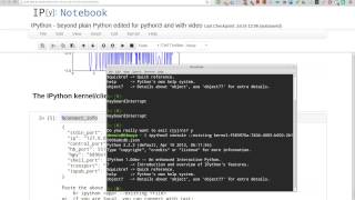 Ipython running a notebook instance in the console