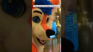 That time we went #fursuiting at the #mallofamerica 🤩 #furry #fursuit #furries #fursuiters