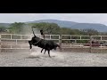 CALA EN RANCHO LA CANDELARIA HIJOS DEL PEQUEÑO GRAN GUERRERO