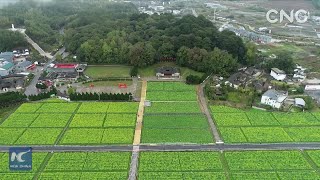 China From Above | Gutian Conference Site