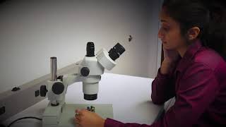 Aven Cyclops 4K Ultra HD Digital Microscope
