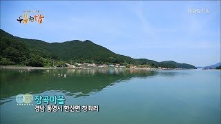 [우문현답] 114화. 왜 그 열정을 벌통골에 쏟으시는지 궁금합니다? - 경남 통영시 한산면 장곡마을 (2017.08.16,수)