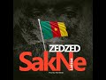 sakne