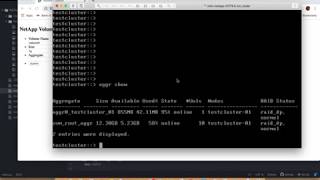 8. Python Flask and ONTAP API