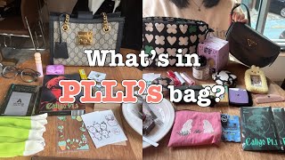 플리의 가방엔 뭐가 있을까?👜ㅣ왓츠인마이백 PLLI ver.ㅣ플리로그