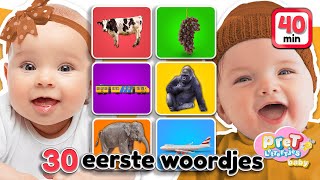 Pretlettertjes Baby TV • 30 Eerste Woordjes Special • Woordjes leren met Nederlandse baby filmpjes