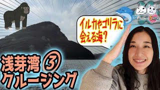 #3浅芽湾クルージングで海から見るゴーストオブ対馬の景色に感動〜対馬であいまSHOW〜대마도（テマド）