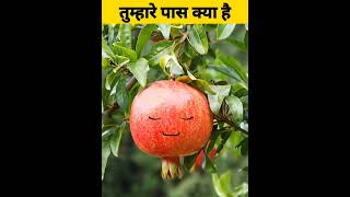 तुम्हारे पास क्या है #shorts #comedy #youtubeshorts #shortvideo