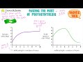 making the most of photosynthesis gcse biology