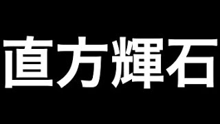 直方輝石1（ハンレイ岩）