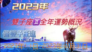 雙子座♊️2023年運勢全解析/塔羅占卜預測/星座運勢分析