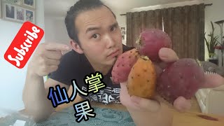 美食 | 仙人掌果好吃吗🏜？我来试试看！！Is cactus fruit delicious?  Let me give it a try!  !