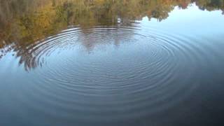 The ripple effect
