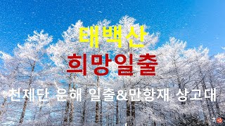 태백산 천제단 운해 일출&만항재 겨울왕국 상고대(328회 희망일출)