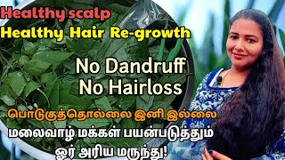 NODandruff!NO Hairloss!Only solution for Healthy Scalp and Hair Regrowth/Vetpalai Thilam preparation