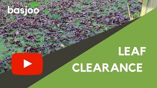 Leaf Clearance - by a Professional Gardener