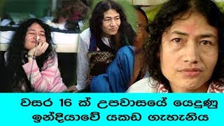 වසර 16 ක් උපවාසයේ යෙදුණු ඉන්දියාවේ යකඩ ගැහැනිය