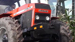 ☆KUKURYDZA NA KISZONKĘ 2020 ☆GR DOBBER ☆5X URSUS☆NEW HOLLAND \u0026 ZETOR ☆ WTOPA URSUSA?! ☆ POMPAA!!