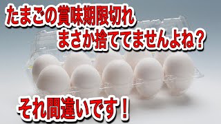 【絶対お得な情報！】たまごの賞味期限について皆さまは間違っています！