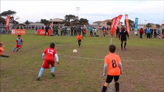 Rygate Cubs Festival 2017 U 8 Wesley United v Lansdowne FC