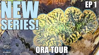 NEW SERIES! Behind The Scenes At The ORA Coral Facility  - ORA Tour