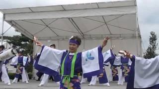 「 栃木おおるりの舞」真岡☆花舞嬉