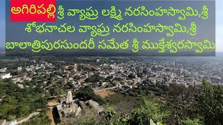 శ్రీ వ్యాఘ్ర లక్ష్మి నరసింహస్వామి,శ్రీ శోభనాచల వ్యాఘ్ర నరసింహస్వామి,శ్రీ ముక్తేశ్వరస్వామి వారి ఆలయం