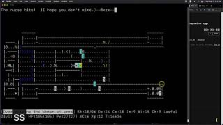 Part 6, The Quest, ascending in NetHack, overexplained.