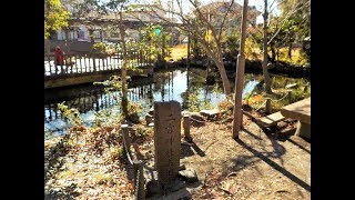 東京の湧水＠二宮神社お池