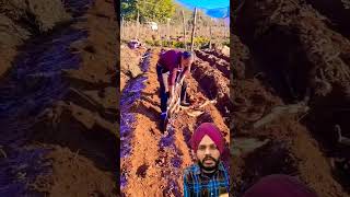 ਦੇਖੋ ਚਾਈਨਾ ਵਾਲਿਆਂ ਨੇ ਕਿੰਨਾ ਸੌਖਾ ਜੁਗਾੜ ਲਾਇਆ #agriculture #farming #satisfying #food