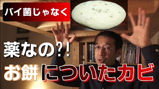 お餅に生えたカビってバイ菌なの?　実は薬だったの?!