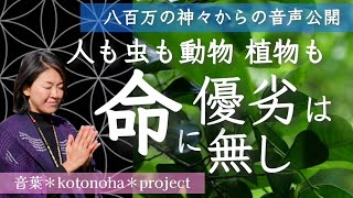 【八百万の神々からの音声公開】『人も虫も 動物  植物も全ての命に優劣無し』沖縄県ウッカガー御嶽にて～八百万の神々からのメッセージ～　音葉＊otoha＊