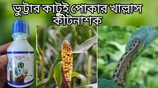 ভুট্টার কাটুই পোকার খাল্লাস কীটনাশক, আধুনিক পদ্ধতিতে ভুট্টা চাষ #গ্রাম_কৃষি_ঘর