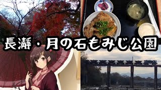 【秩父・長瀞の旅】月の石もみじ公園で紅葉を楽しむ＃2