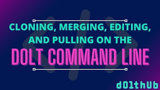 Dolt Command Line Tutorial