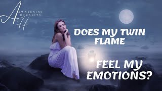 DOES MY TWIN FLAME FEEL MY EMOTIONS?