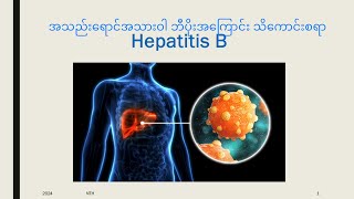 Hepatitis B အသည်းရောင်အသားဝါဘီပိုးအကြောင်း သိကောင်းစရာ #healthknowledge