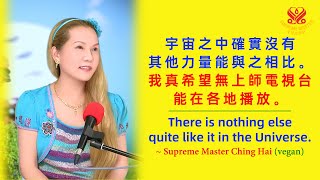 見證隨身播放無上師電視台的光拯救了無形眾生上天堂✨｜Witness the Benefits of Playing Supreme Master TV for Invisible Beings