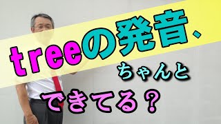 No 2【発音】treeとdry の発音、本当に発音できてますか？ーこんなに使える受験英語（小池浩）