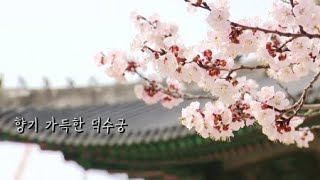 [영상] 향기 가득한 덕수궁 / YTN 사이언스