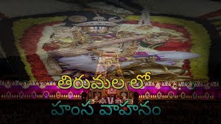 TIRUMALA LO HAMSA VAHANAM తిరుమల లో హంస వాహనం